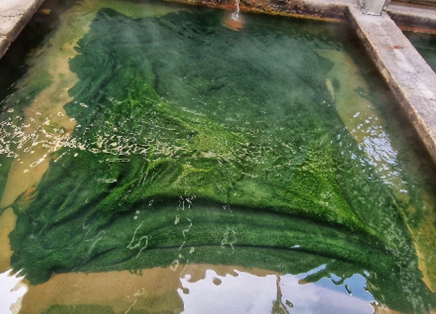 Mud Curing Reservoir