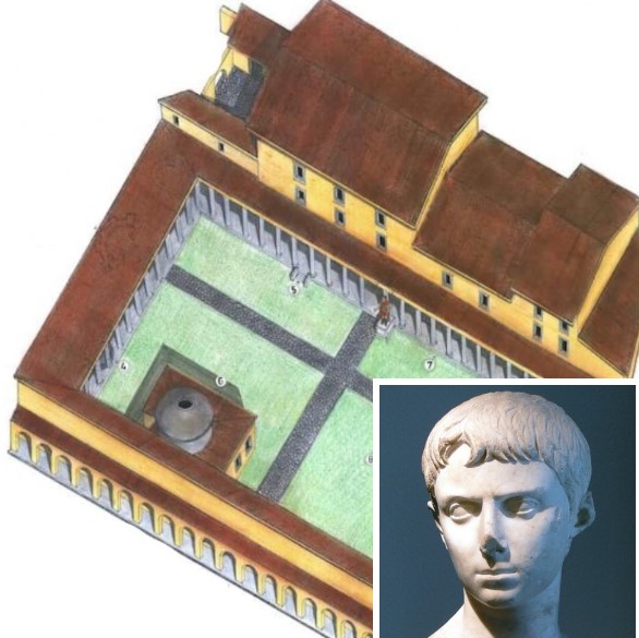 From Velitrae Usurers to Palatine Gods: Augustus' Invented Dynasty