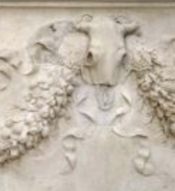 Bucranium on the Ara Pacis Augustae.