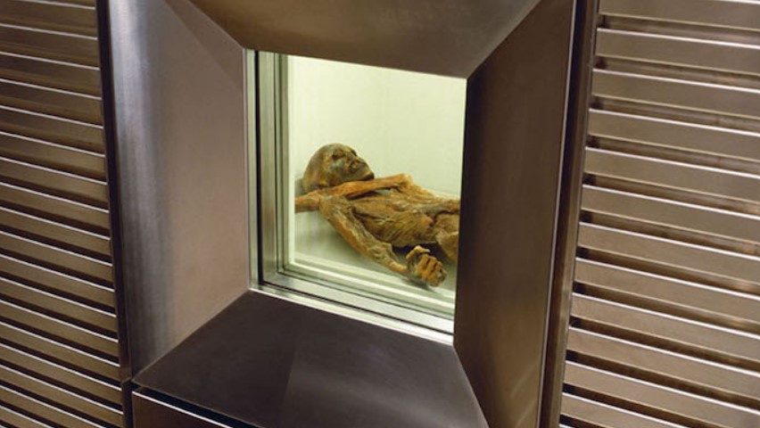 Öetzi, The South Tyrol Museum in Archaeology, Bolzano