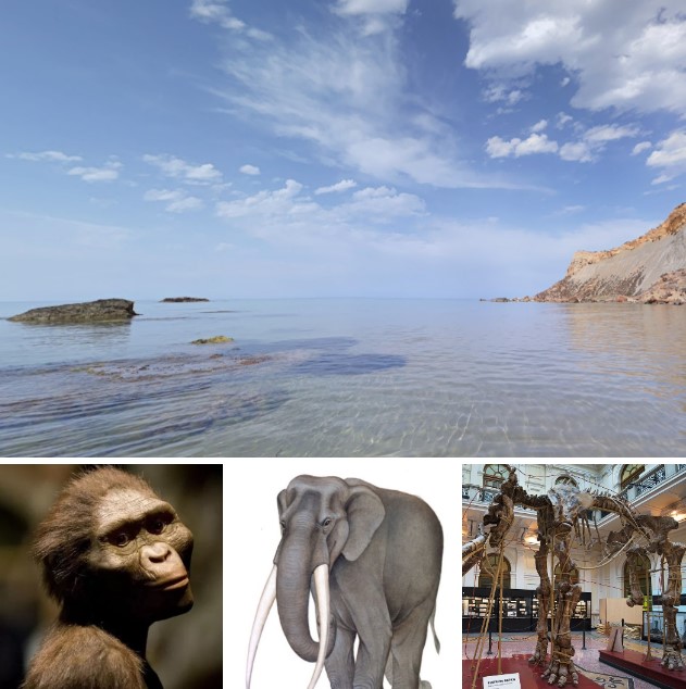View of Capo Rossello, the site where the australopithecus' remains were found on the top right (Realmonte, Agrigento, Italia)- Adult Australopithecus afarensis - 14 meter fossil of an ancient Italic elephant found near Lake Bolsena - Giacomo Doria Natural History Museum, Genoa