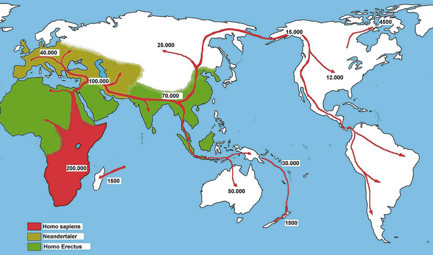 This map shows the spread of Homo sapiens out of Africa and across the globe, with very approximate dates.