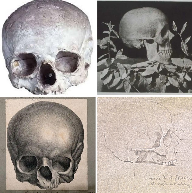 Copy of the cast of Raphael Sanzio's skull by Goethe, Turin; Raphael's exhumed skull in 1833, copy of the skull cast at the Accademia di San Luca, Rome; drawing of Raphael's skull (c. 1833), pencil on paper by Tommaso Minardi (1787–1871), London.