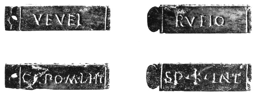 Ivory tessera (3x0.8x0.7 cm), featuring a rounded appendice with a threading hole, inscribed: RVFIO VEVEI SP(ECTAVIT) K(ALENDIS) INT(ERCALARIBVS) CN(EO) PO(MPEIO) M(ARCO) LI(CINIO CRASSO) [CONSVLIBVS] II.